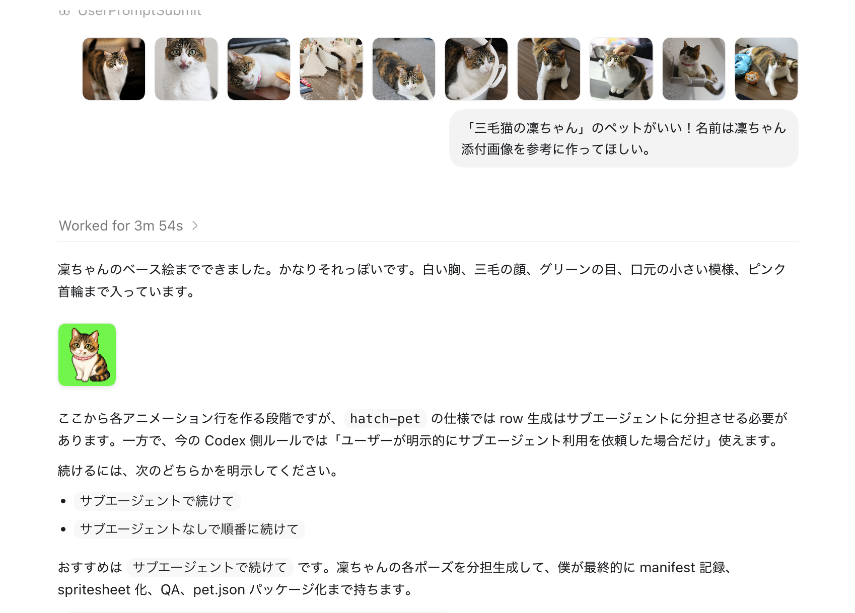 凜ちゃんの参考写真10枚をCodexに渡している様子